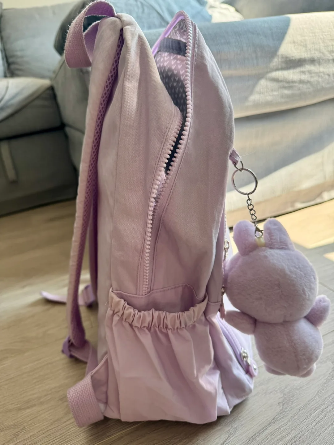 Light weight backpack image indicator(4)