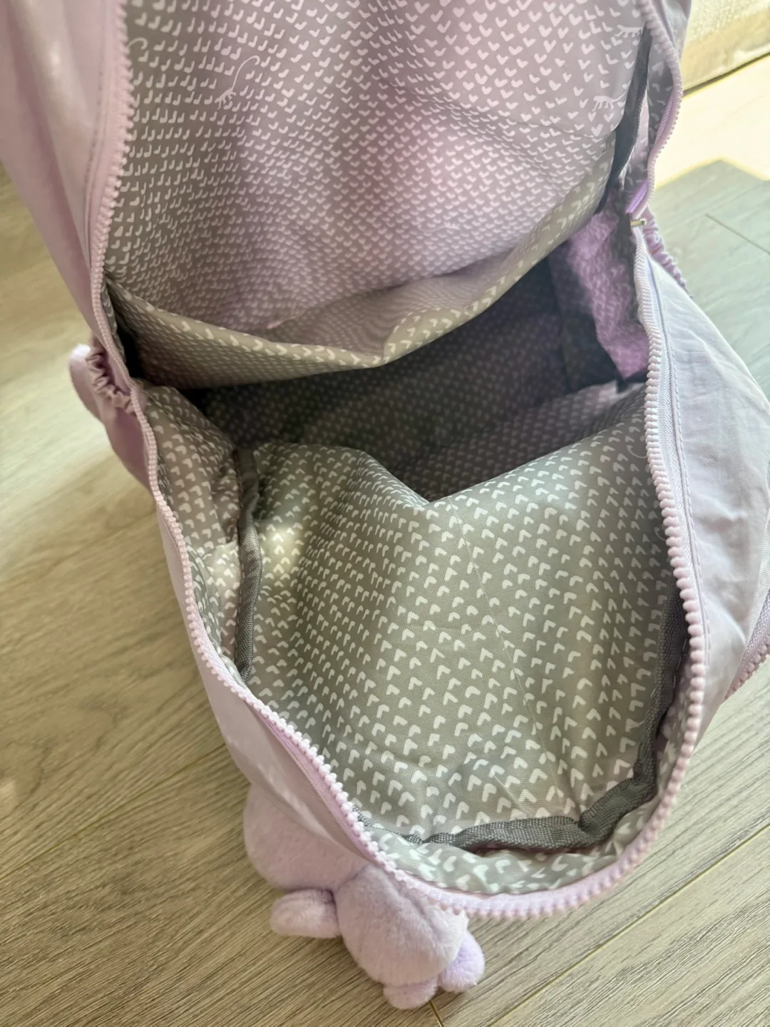 Light weight backpack image indicator(6)