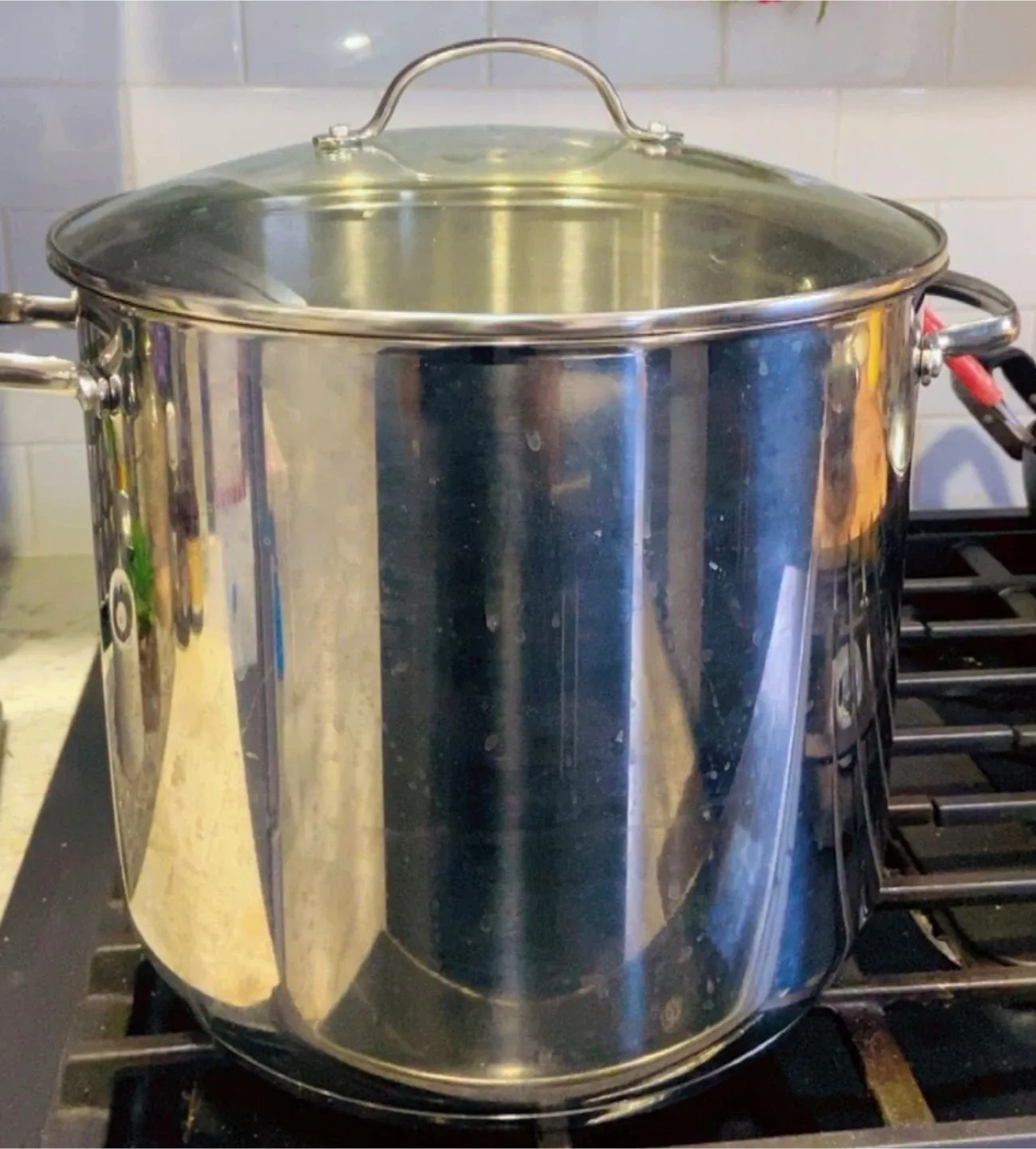 Stainless Steel Stock Pot with Tempered Glass Lid, 14-Quart image indicator(3)