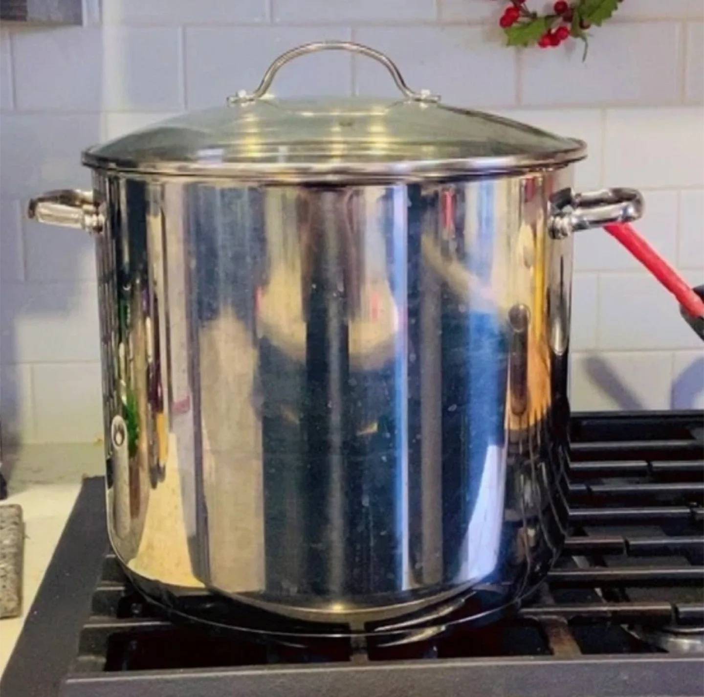 Stainless Steel Stock Pot with Tempered Glass Lid, 14-Quart image indicator(2)