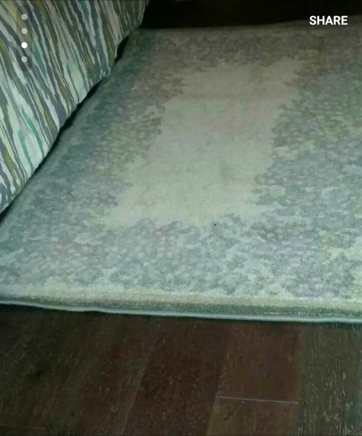 Area Rug - Home Decor 🥕 thumbnail
