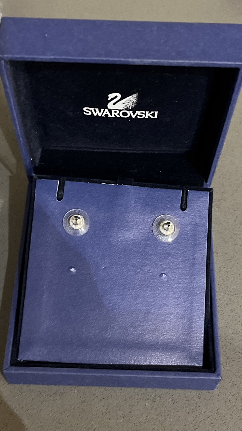 Swarovski Circle Pierced Earrings - silver - photo 2