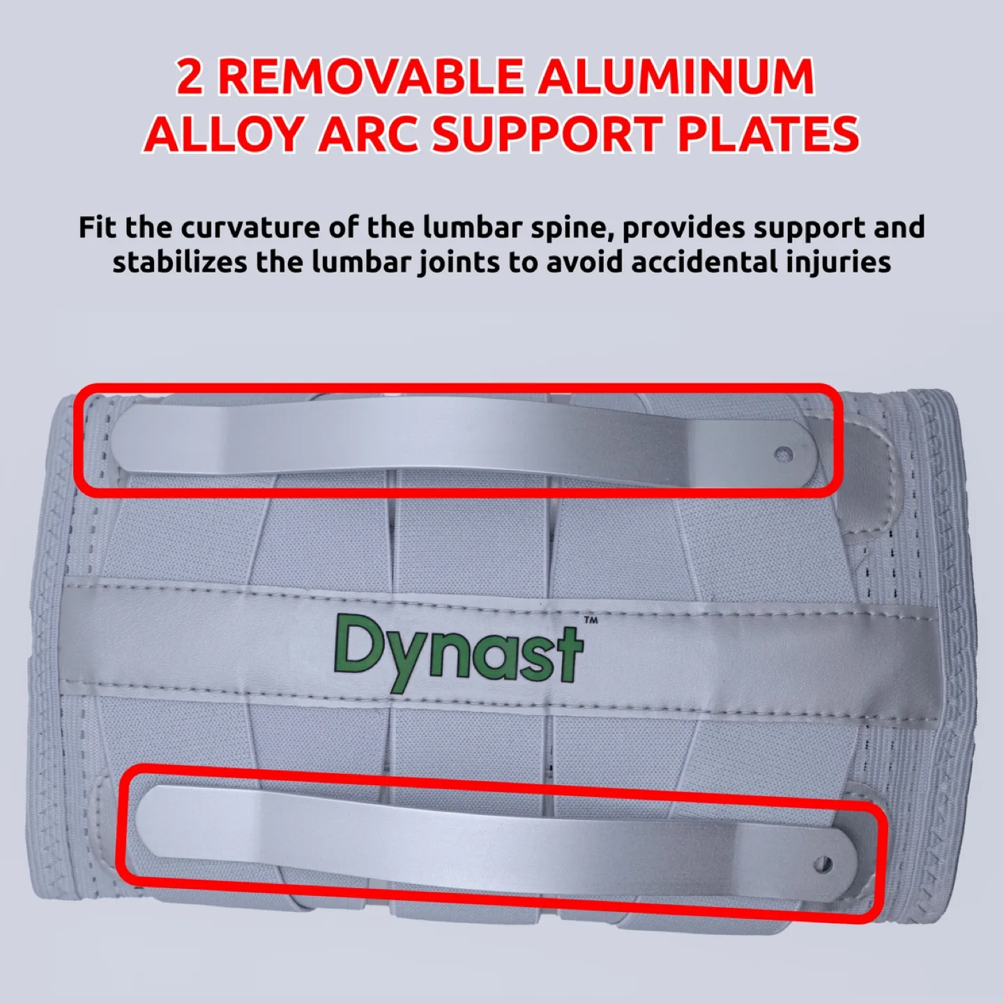 Dynast Back Support Belt – Pain Relief & Posture (S, M, L) image indicator(2)