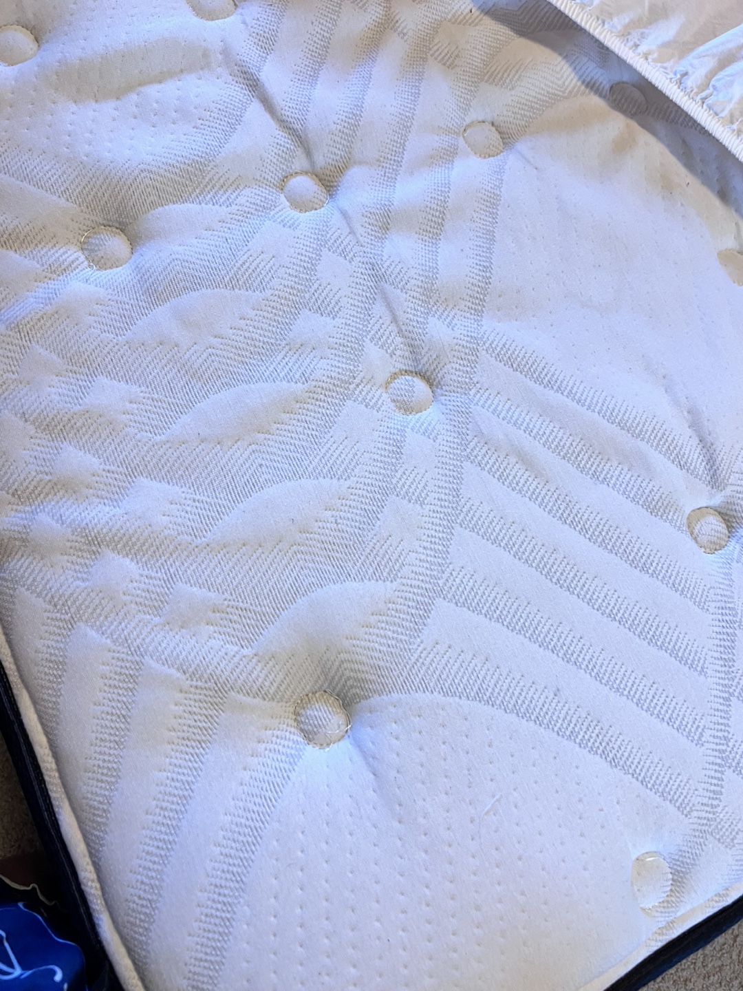 IKEA bedframe & Sealy Optimum Posturepedic Mattress - photo 5