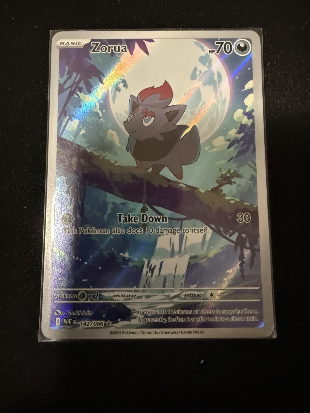 Zorua Pokemon Card 142/086