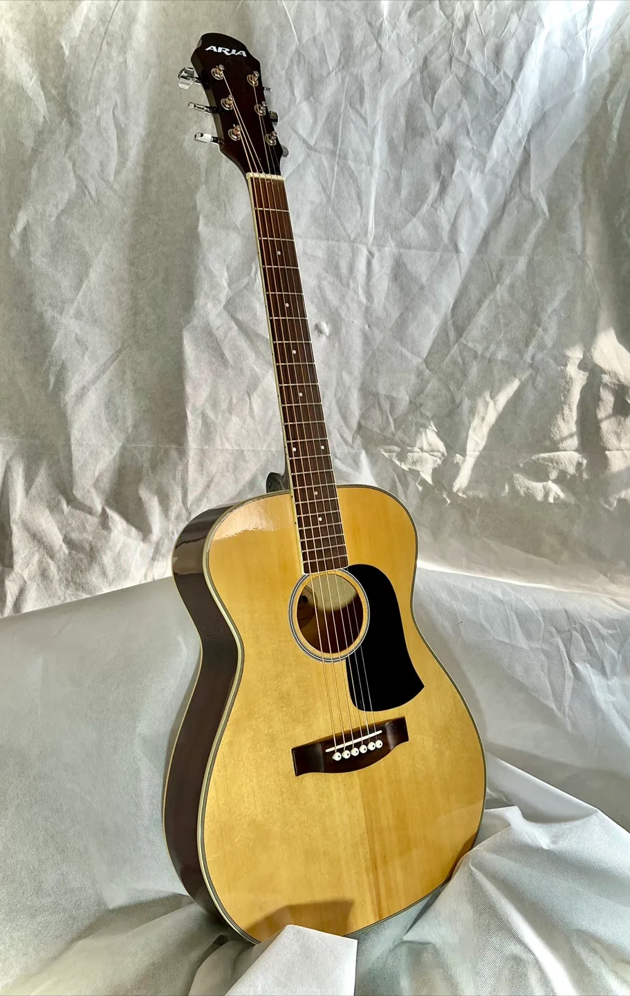 Aria AW20-N 3/4 size with gig bag