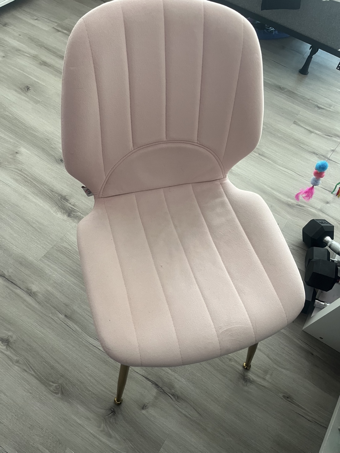 Pink Velvet Dining Chair with Gold Legs
