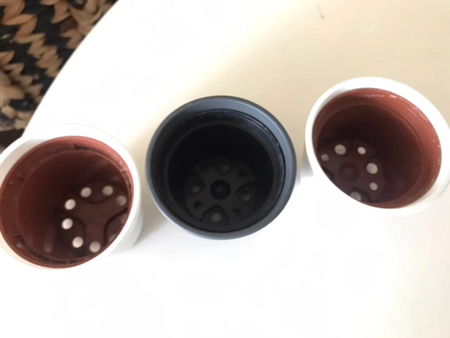 3 Glass Plant Pots Planters+ ✨3 FREE Inserts (Succulents, etc) image indicator(3)