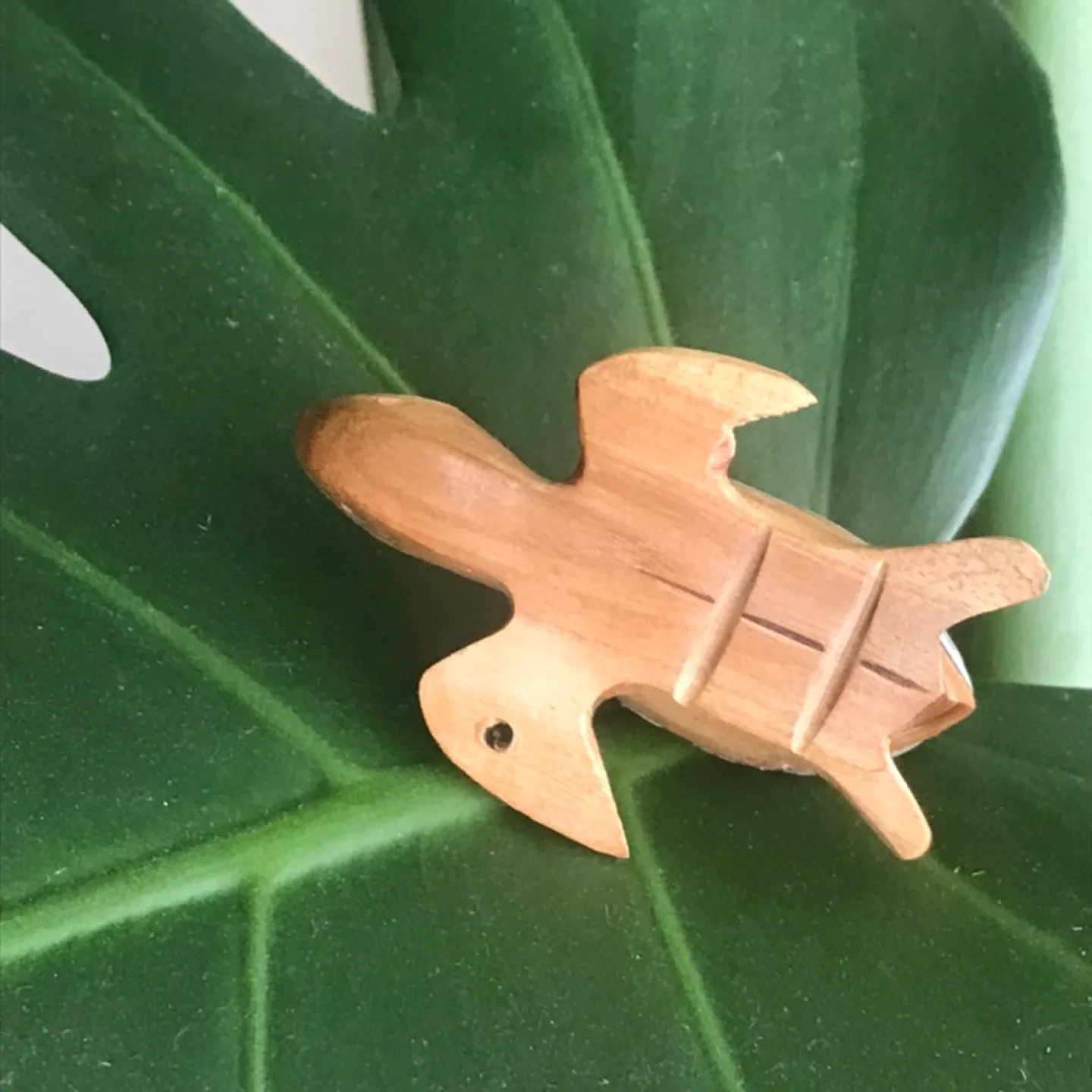 Adorable Wooden Turtle/Tortoise - Keychain/Ornament/Decor image indicator(3)