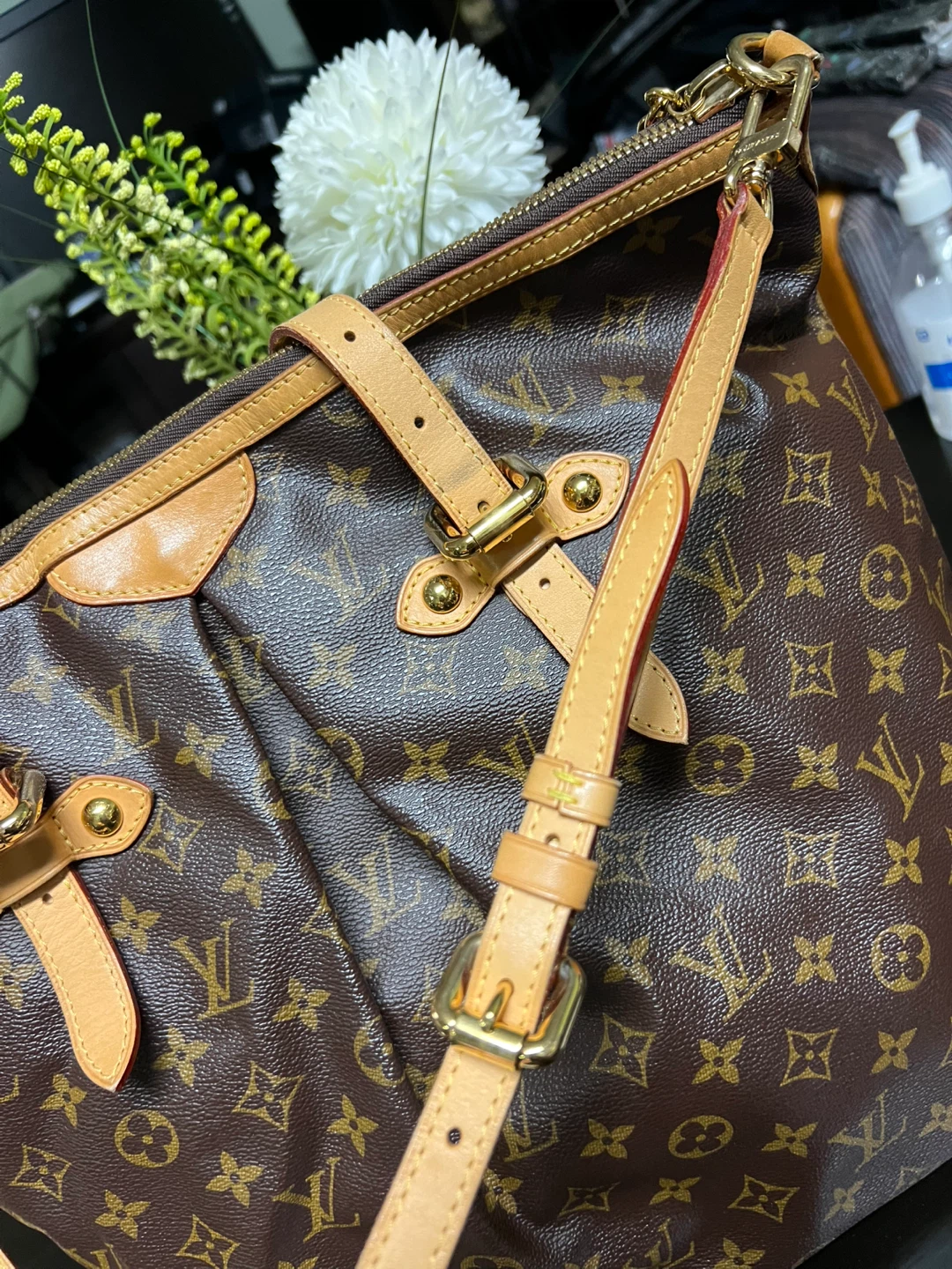 LV PALERMO GM - photo 2