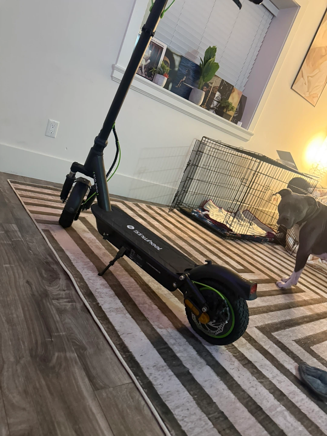 45km/hr Electric Scooter