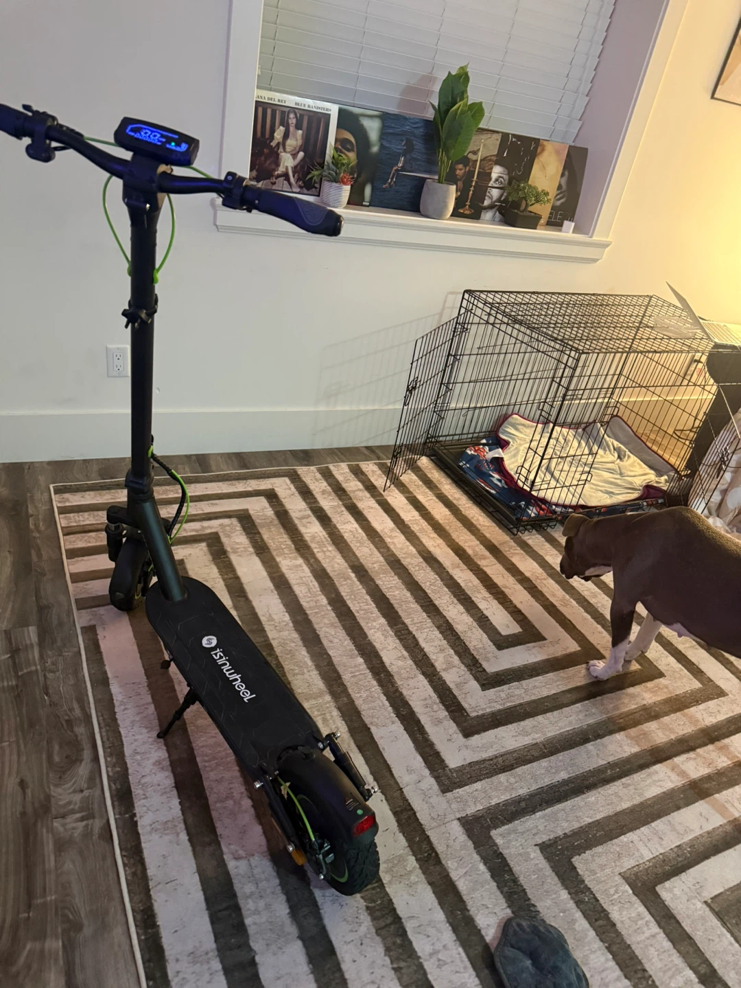 45km/hr Electric Scooter - photo 4