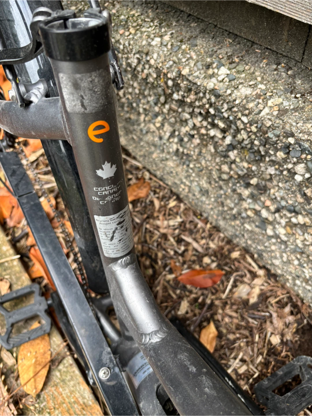 Ebike Ebgo CC50 - photo 4