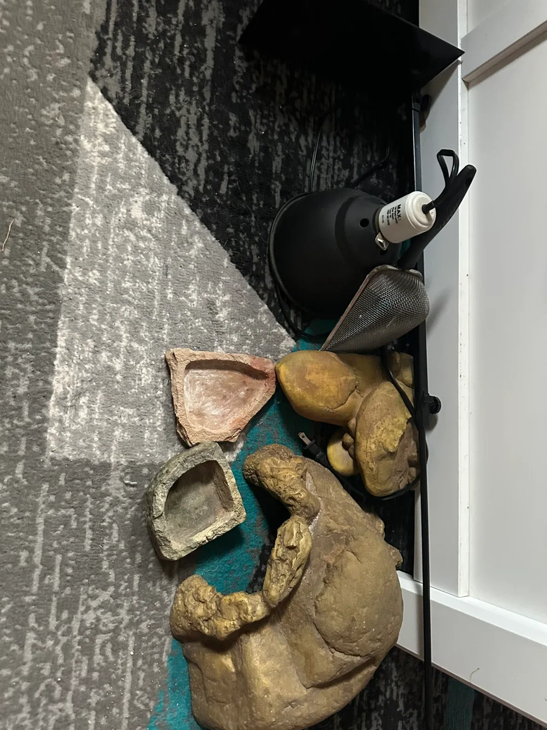 Reptile Accessories image indicator(2)