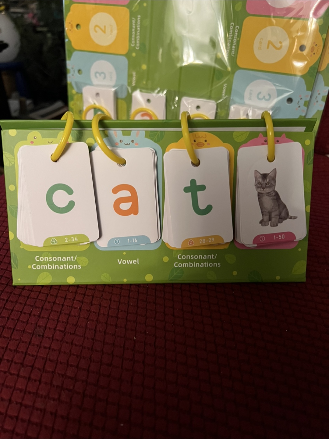 Phonics Flash Cards flip chart