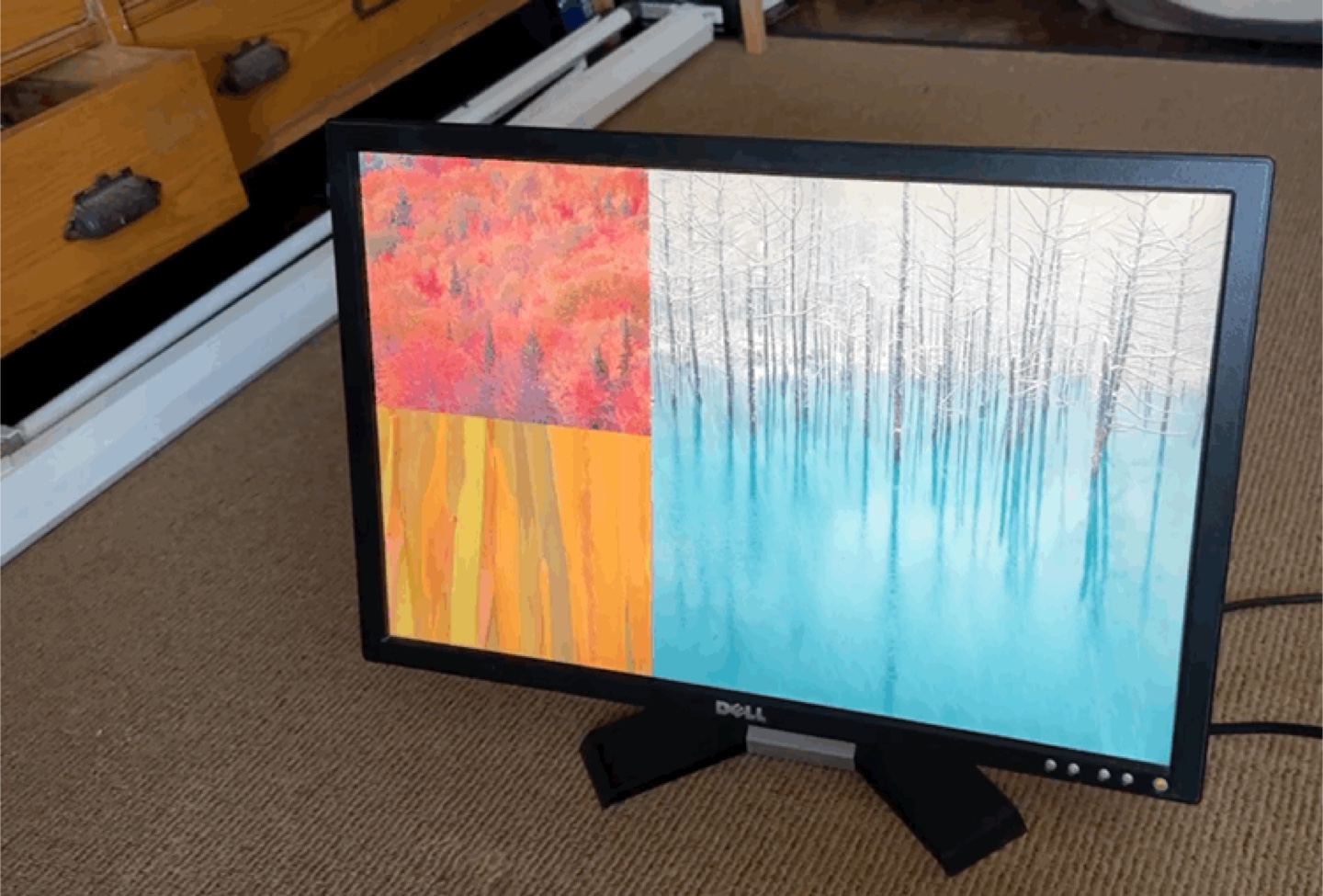 Dell E228WFPC 22" LCD Monitor