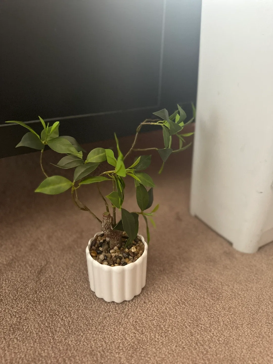Artificial Potted Plant - Home Decor thumbnail