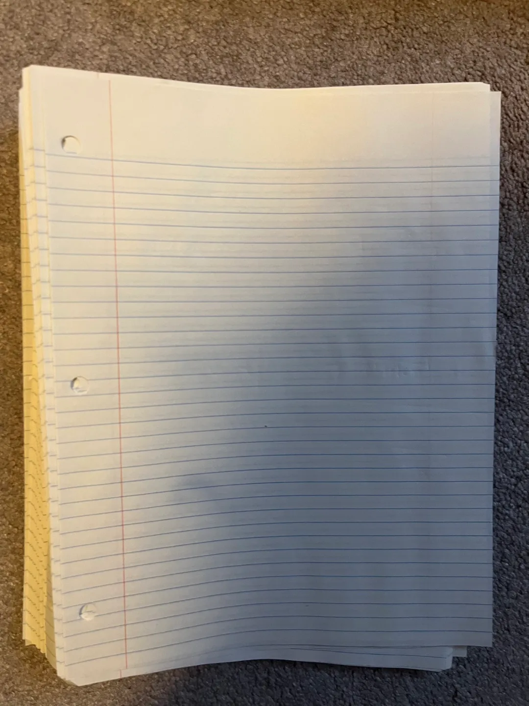 White Binder with dividers image indicator(3)