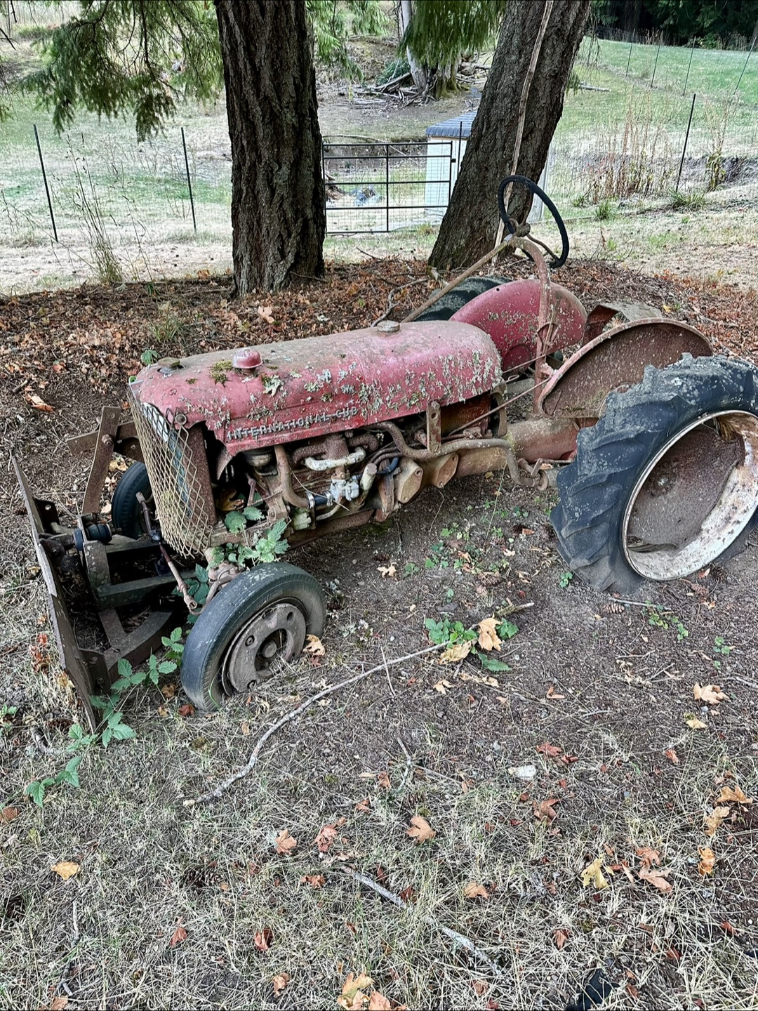 Vintage International Cub Tractor