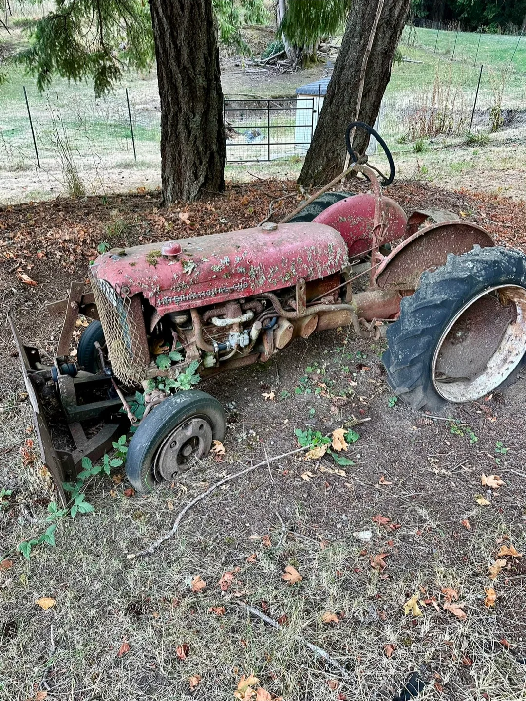 Vintage International Cub Tractor thumbnail