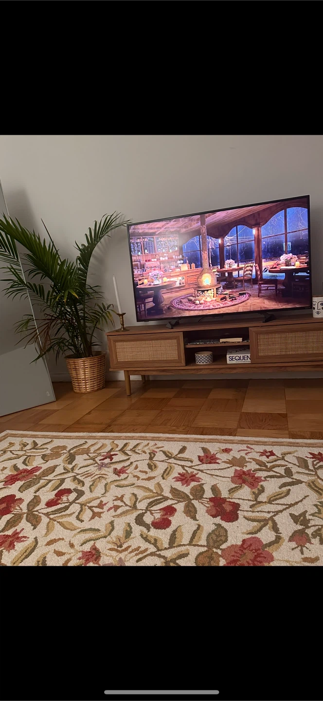 Sleek Living Space Addition TV Stand
