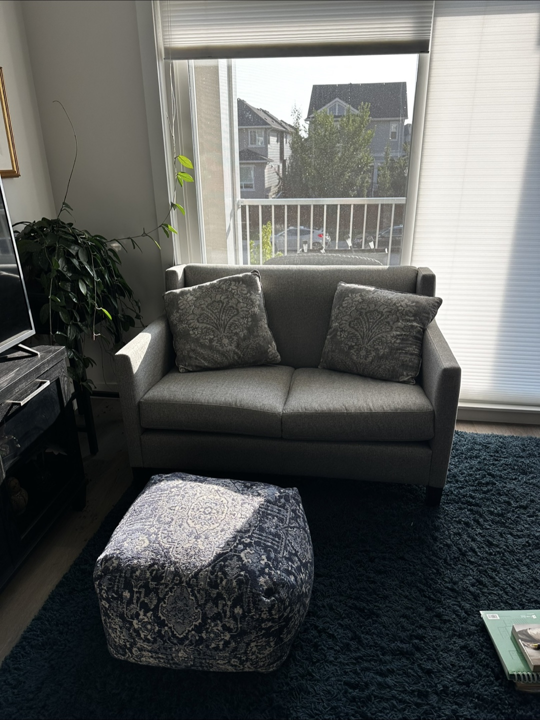 Grey Loveseat Sofa