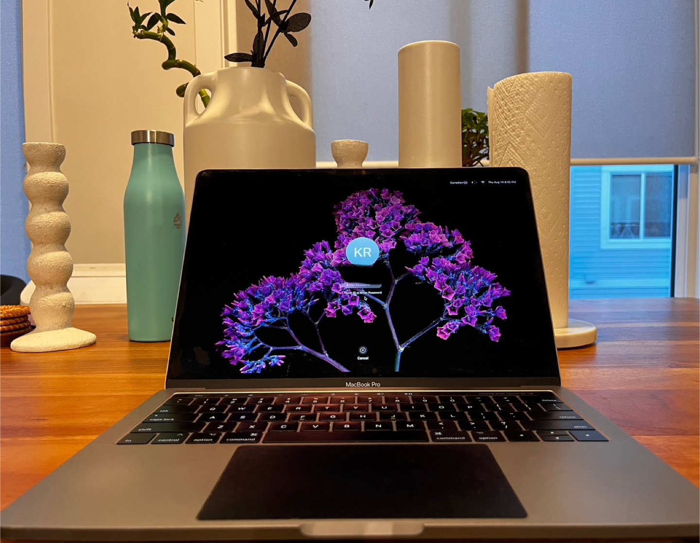 MacBook Pro - photo 5