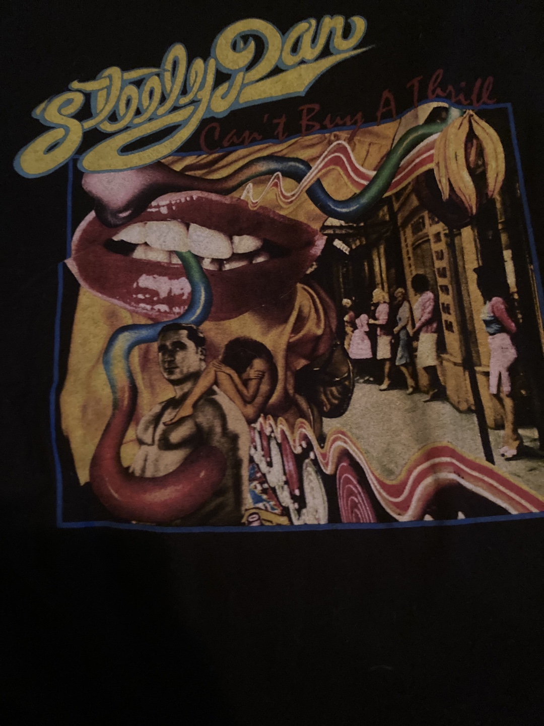 Steely Dan "Can't Buy A Thrill" Graphic Tee - Size L - photo 2