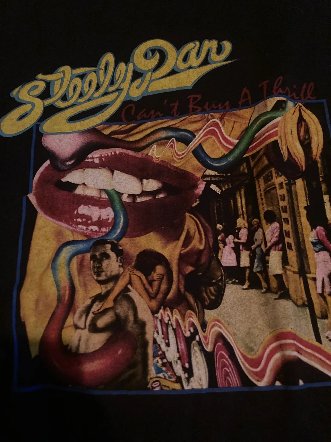 Steely Dan "Can't Buy A Thrill" Graphic Tee - Size L thumbnail