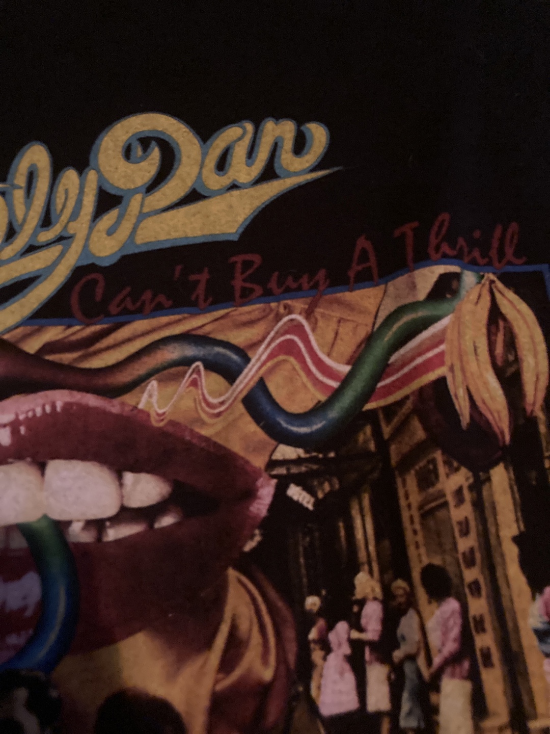Steely Dan "Can't Buy A Thrill" Graphic Tee - Size L - photo 3