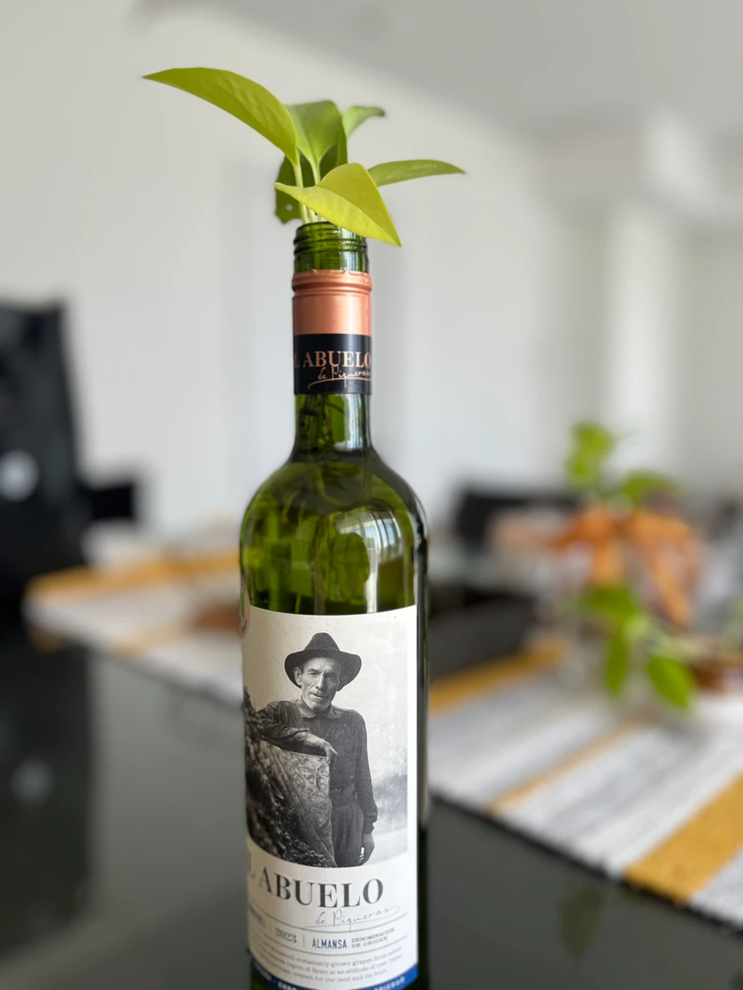 Pothos plant in wine bottle - photo 2