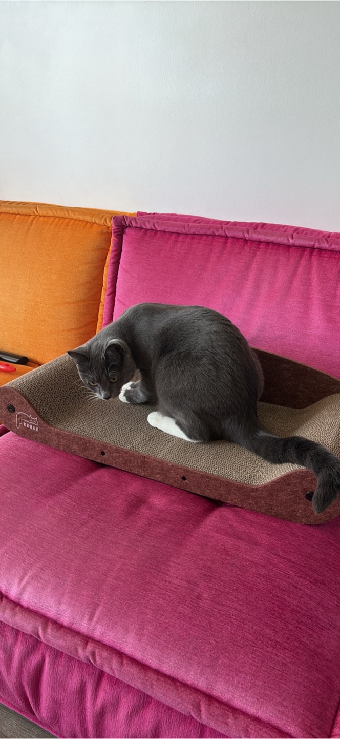 KEKKE Cat Scratch Board Lounge