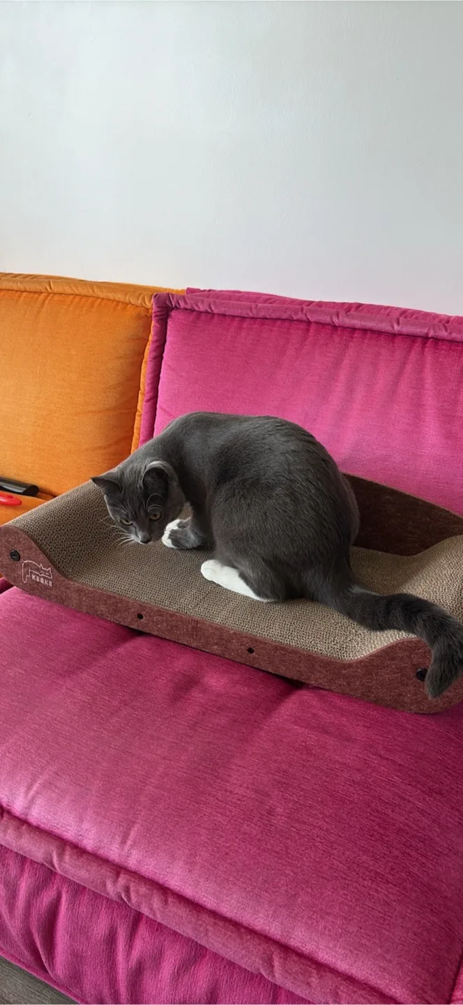 KEKKE Cat Scratch Board Lounge