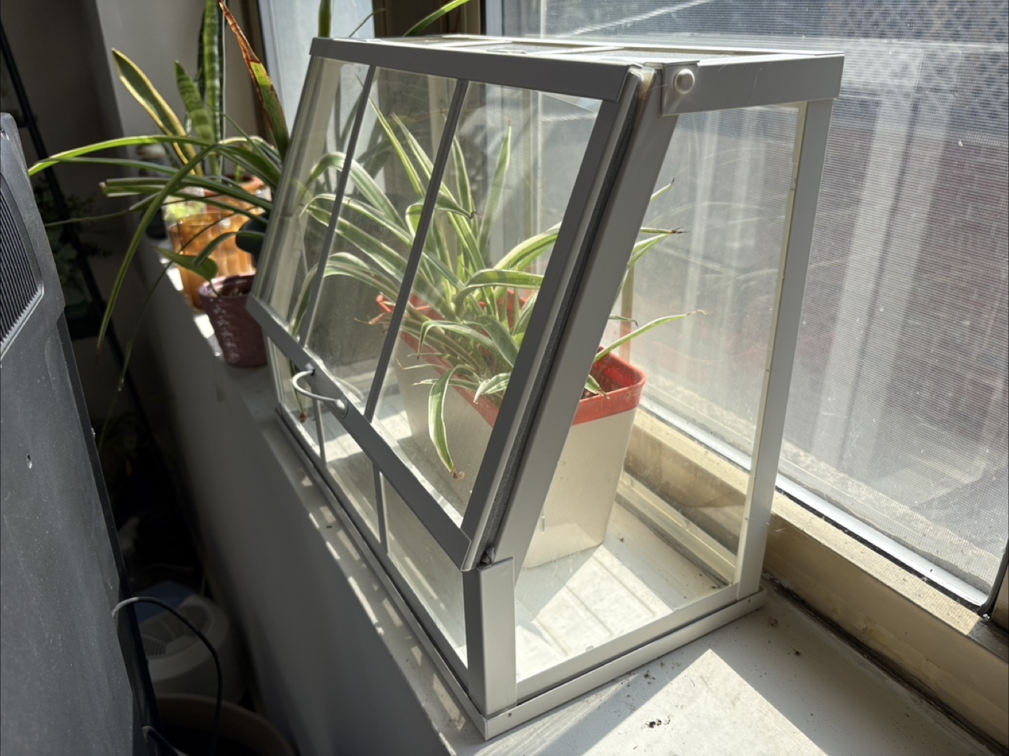 Mini Greenhouse Plant Display Case - photo 3