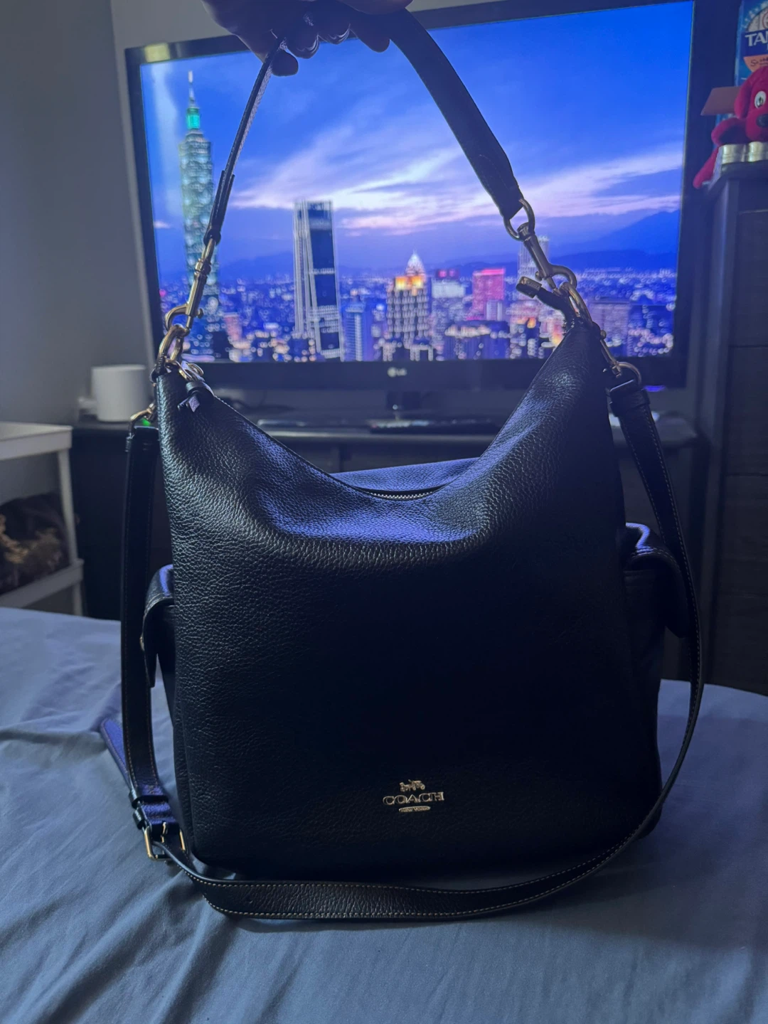 COACH LEATHER HOBO / CROSSBODY