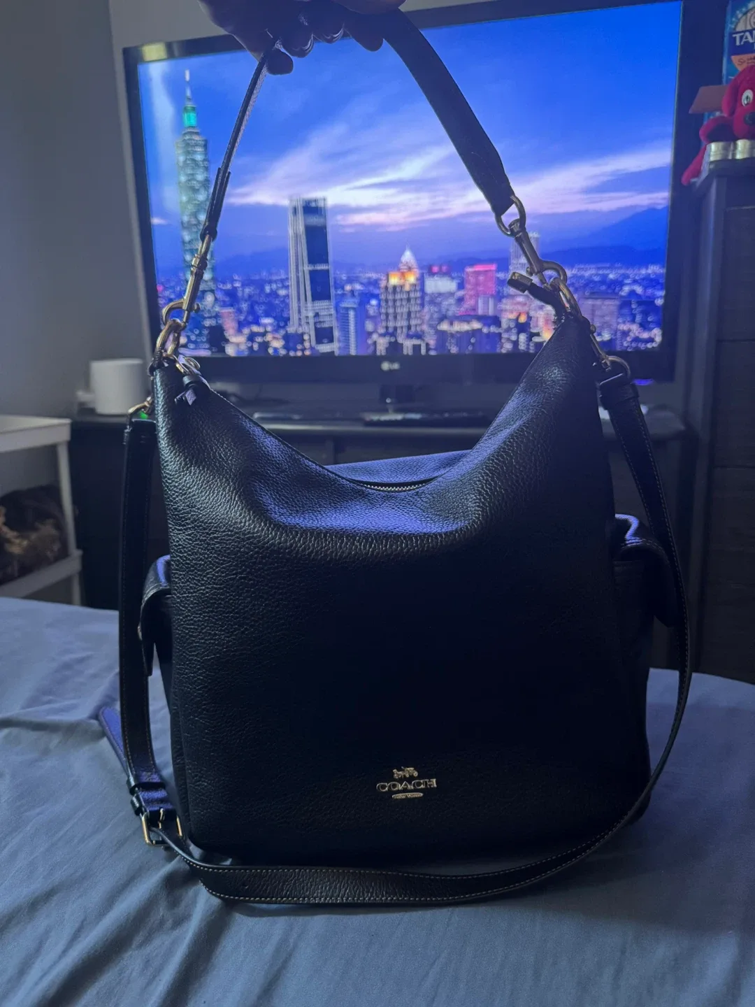 COACH LEATHER HOBO / CROSSBODY