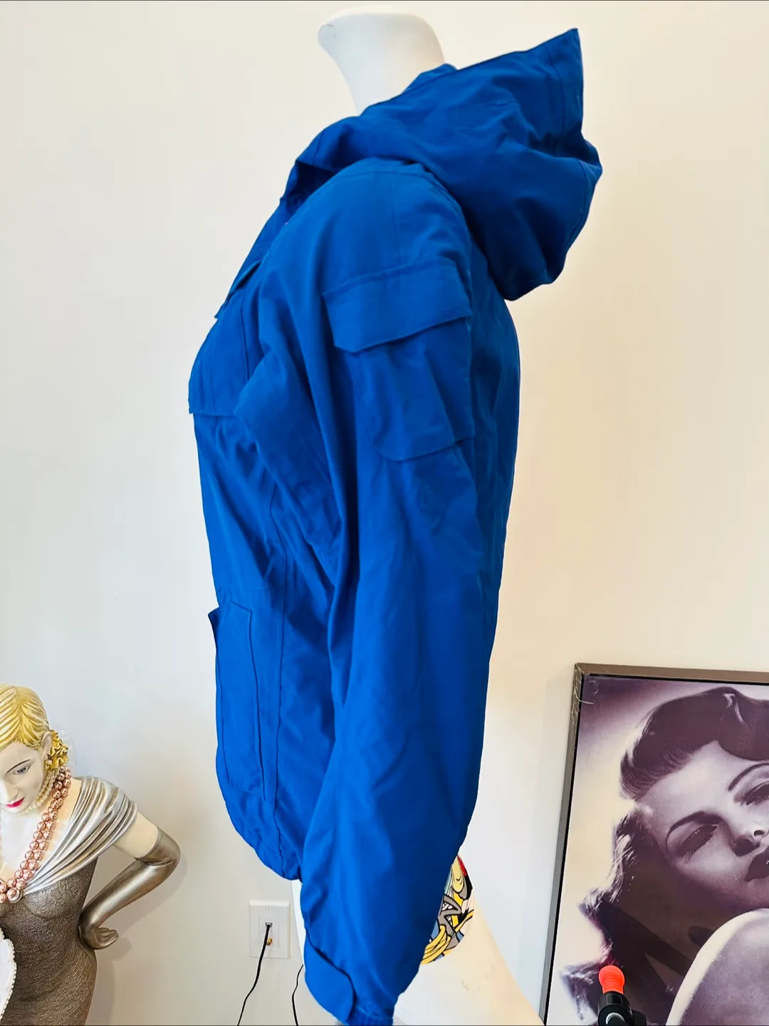 The North Face Blue Hooded Jacket image indicator(2)