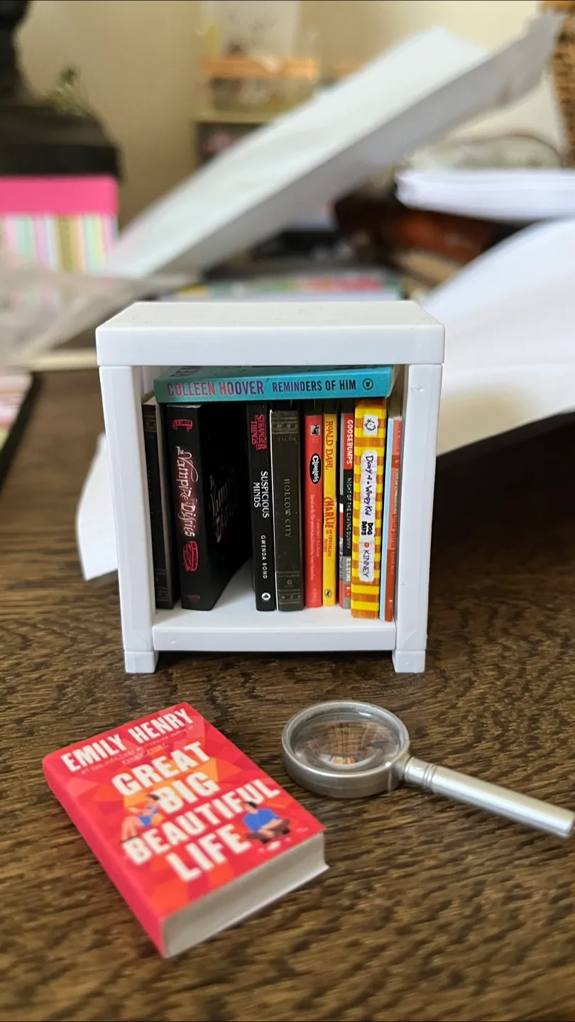 Mini Brands Books +shelf