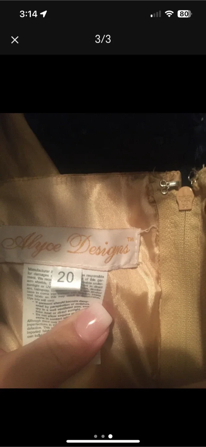 Alyce Designs Formal Dress - Size 20 image indicator(3)