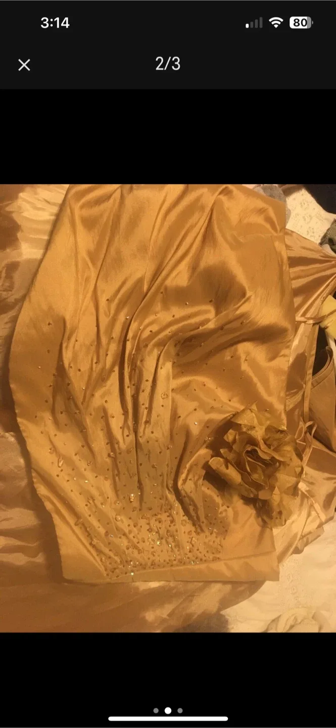 Alyce Designs Formal Dress - Size 20 image indicator(2)