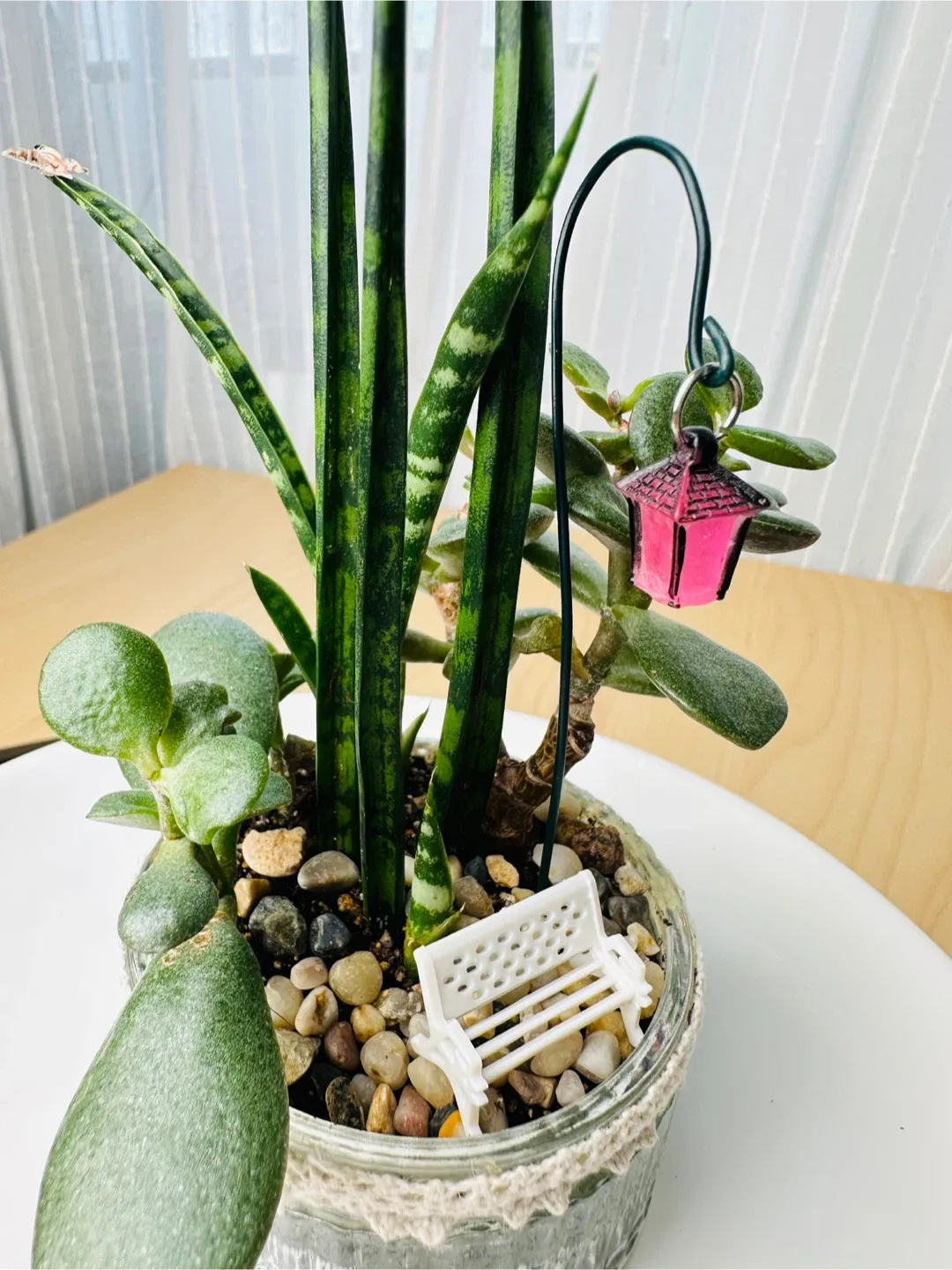 🥕Unique Super low maintenance plants image indicator(2)