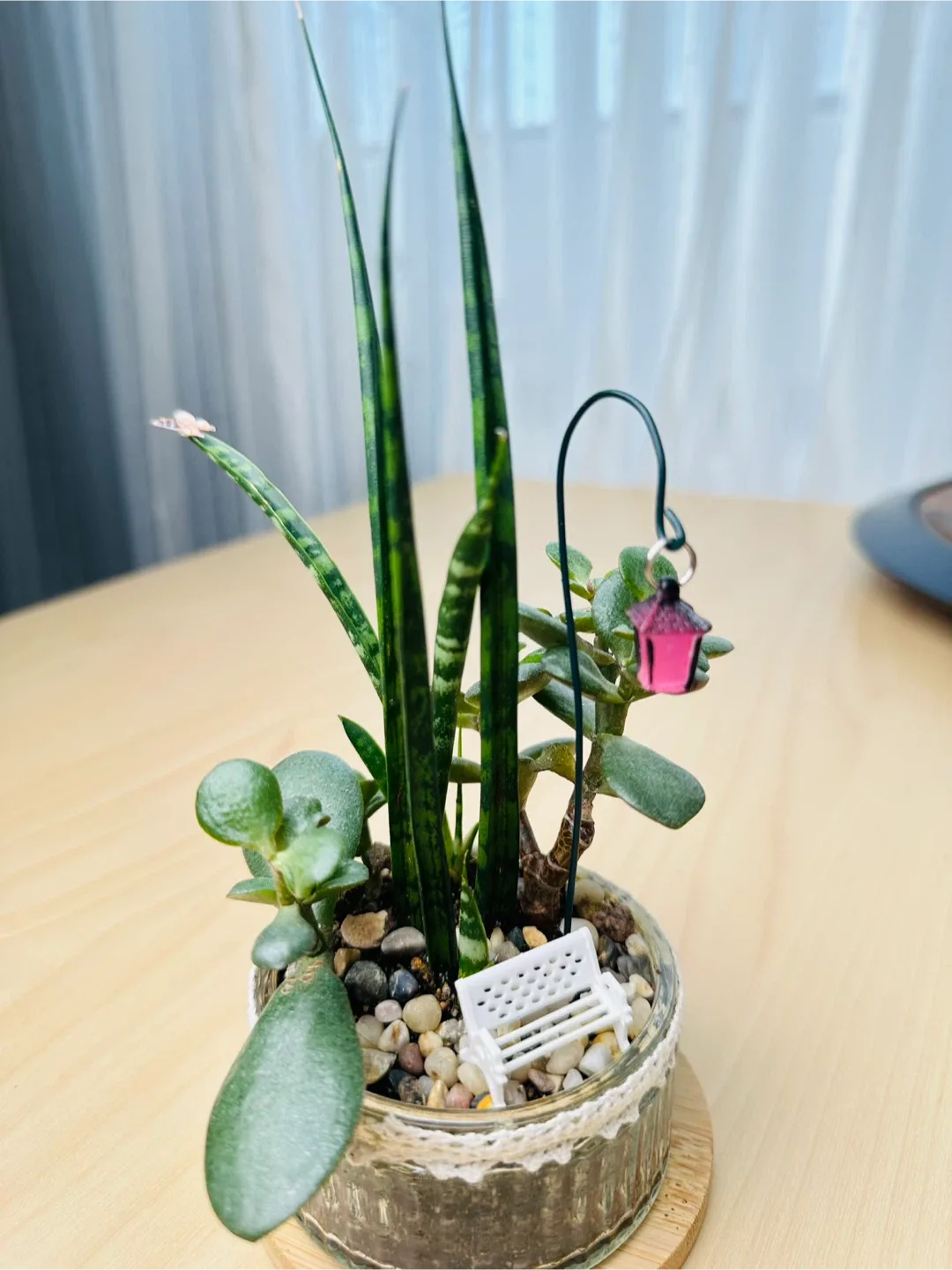 🥕Unique Super low maintenance plants image indicator(9)