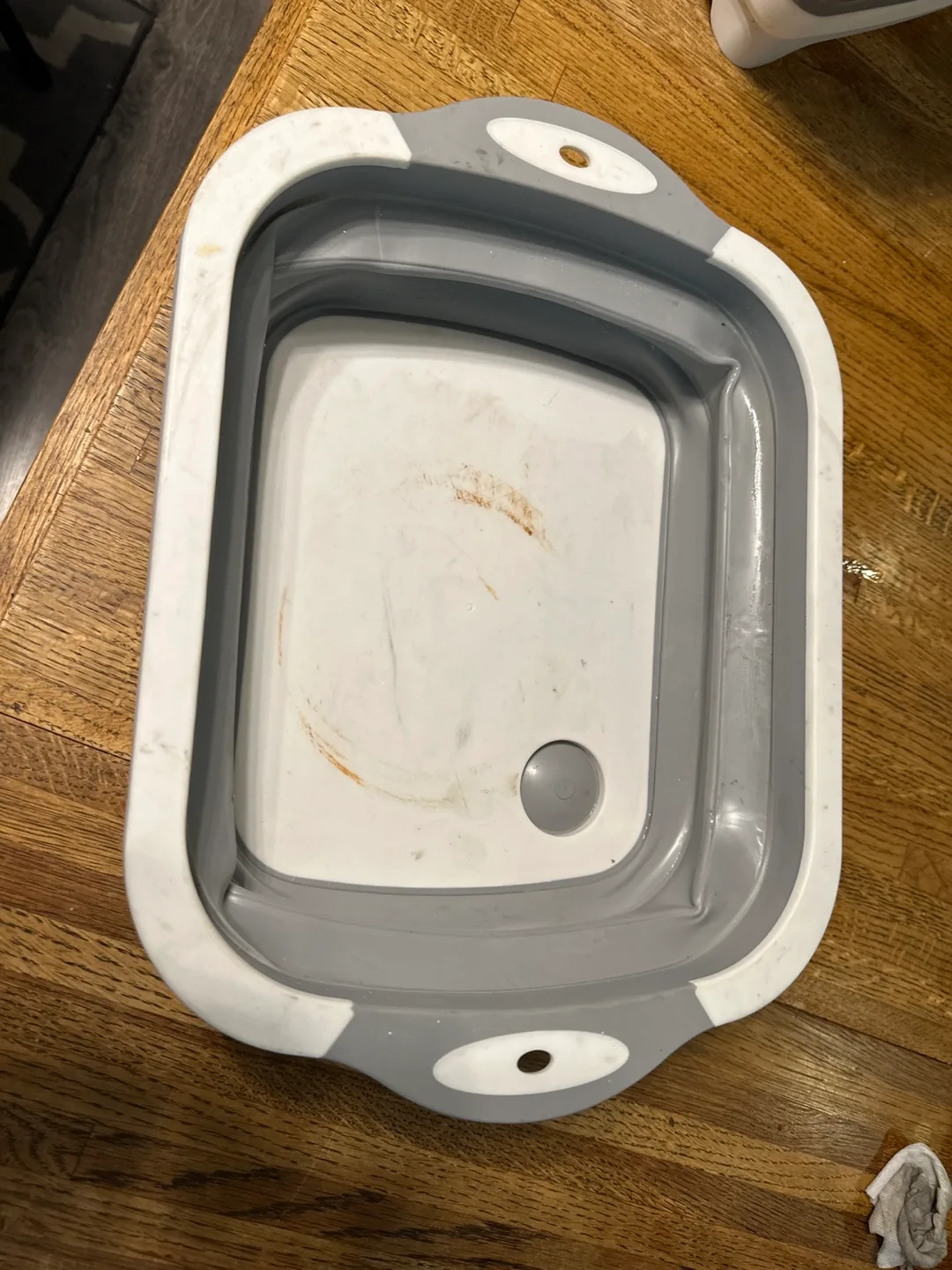 Collapsible Basin 🥕 thumbnail