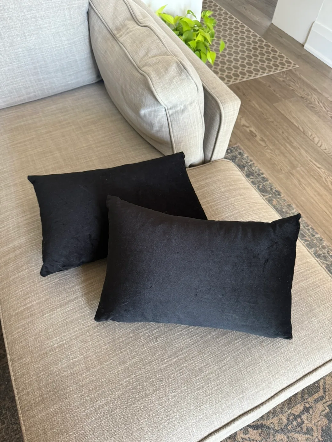 Velvet Pillows with insert 11”x18” Black thumbnail