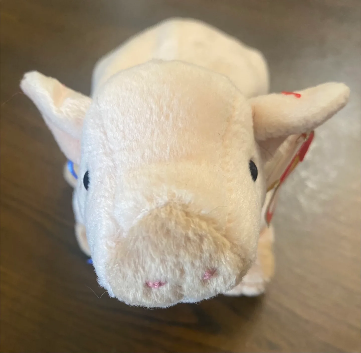 Ty Beanie Baby - Knuckles the Pig thumbnail