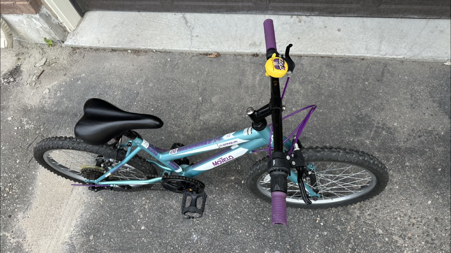 20” Movelo Kids Bike - Teal & Purple - photo 4