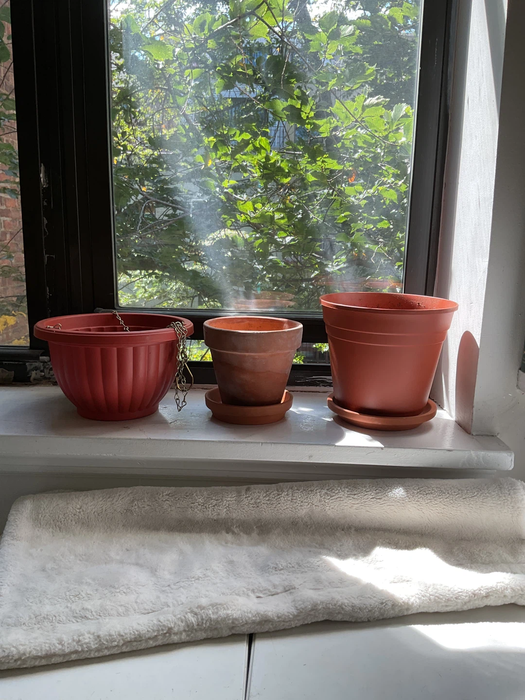 Free Three Assorted Terracotta Flower Pots