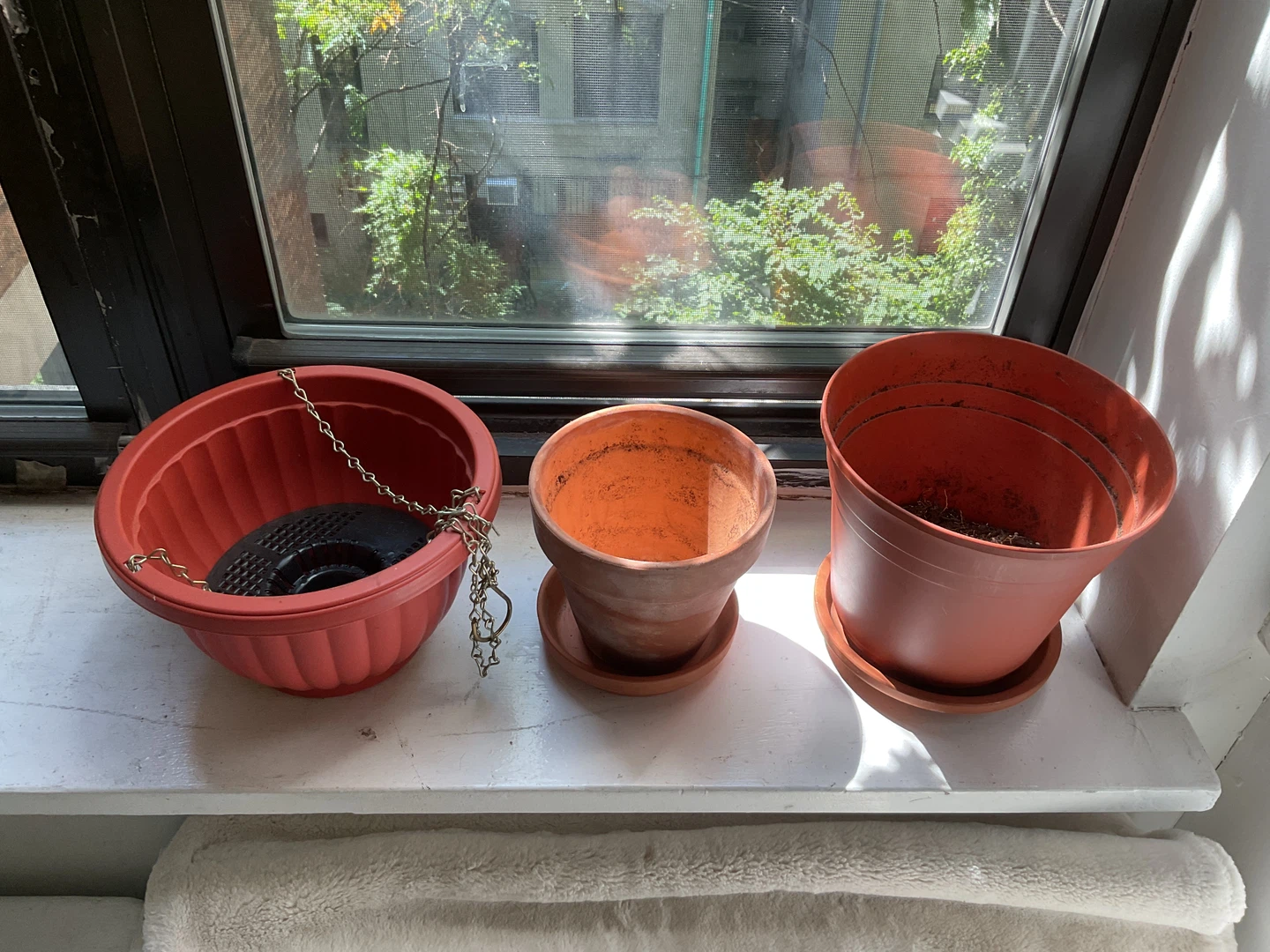 Free Three Assorted Terracotta Flower Pots - photo 2