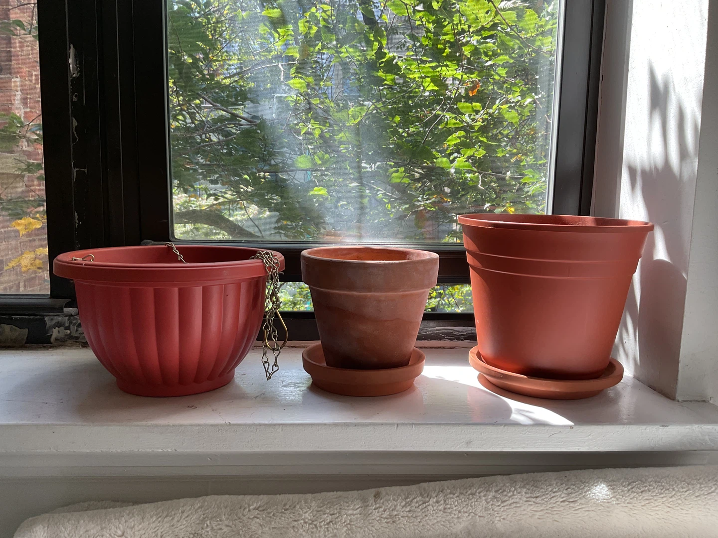 Free Three Assorted Terracotta Flower Pots - photo 3