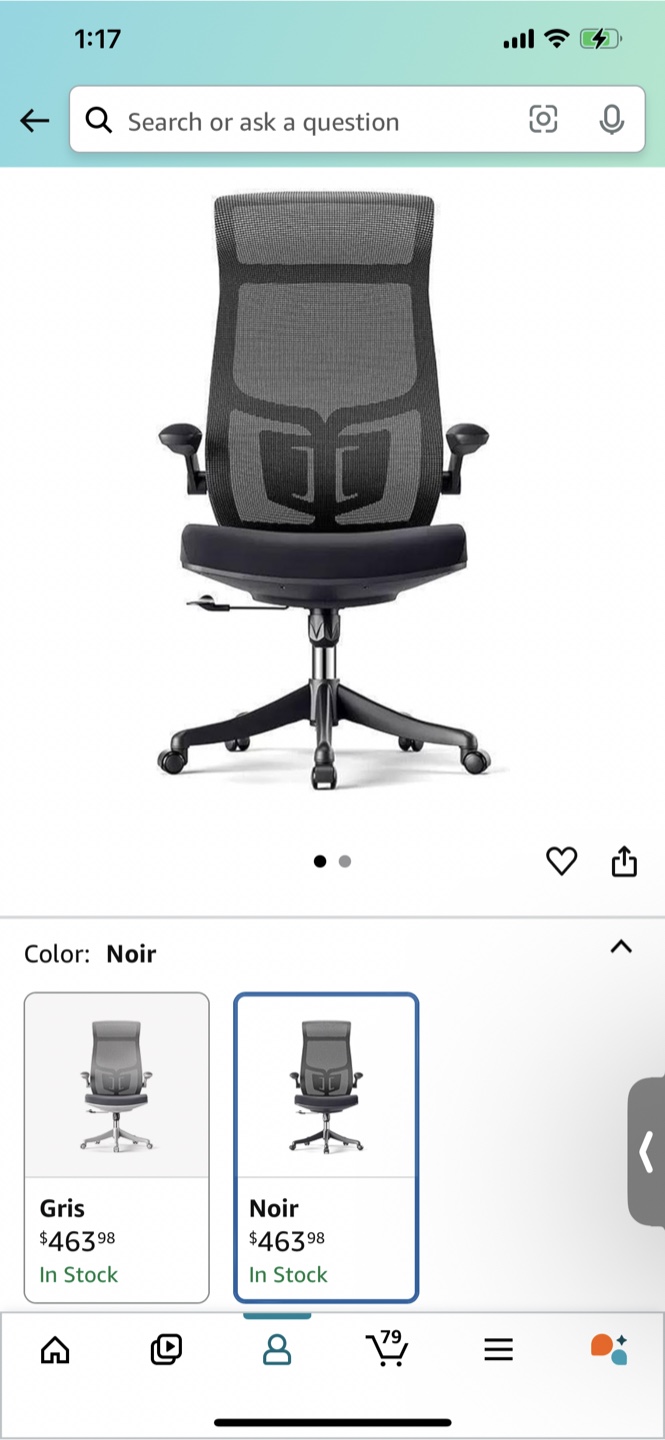 Ergonomic Office Chair, Lumbar Support